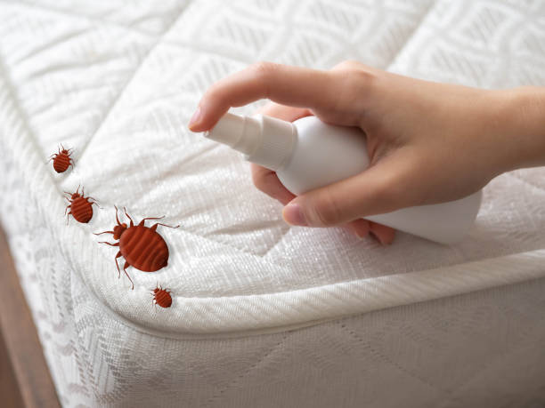 Best Pest Control for Multi-Family Homes  in Washington, DC